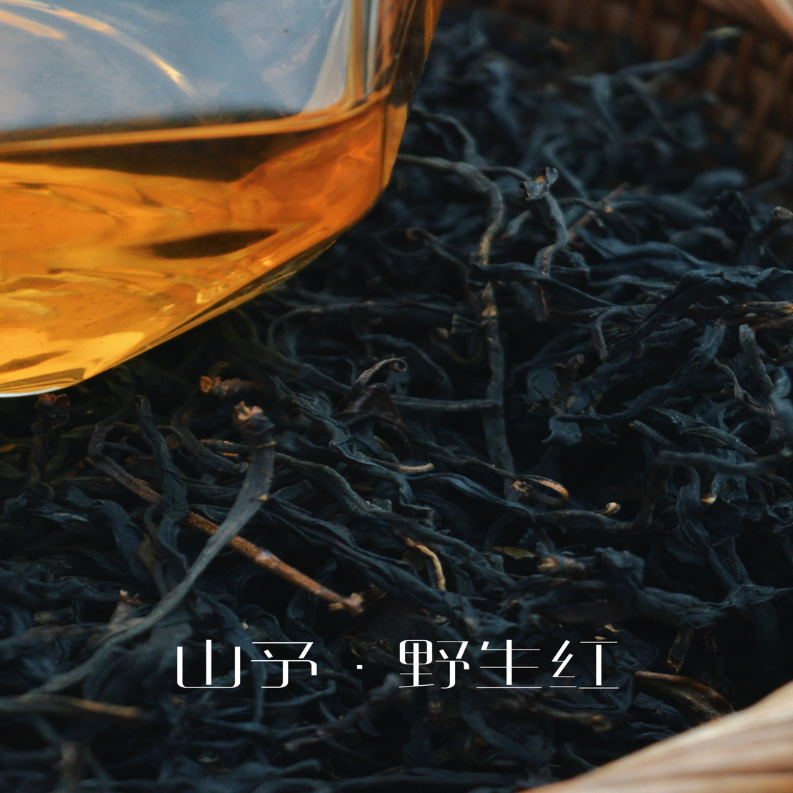 【高货单株野红·春茶】 云南哀牢山千年古树红茶2025新茶 