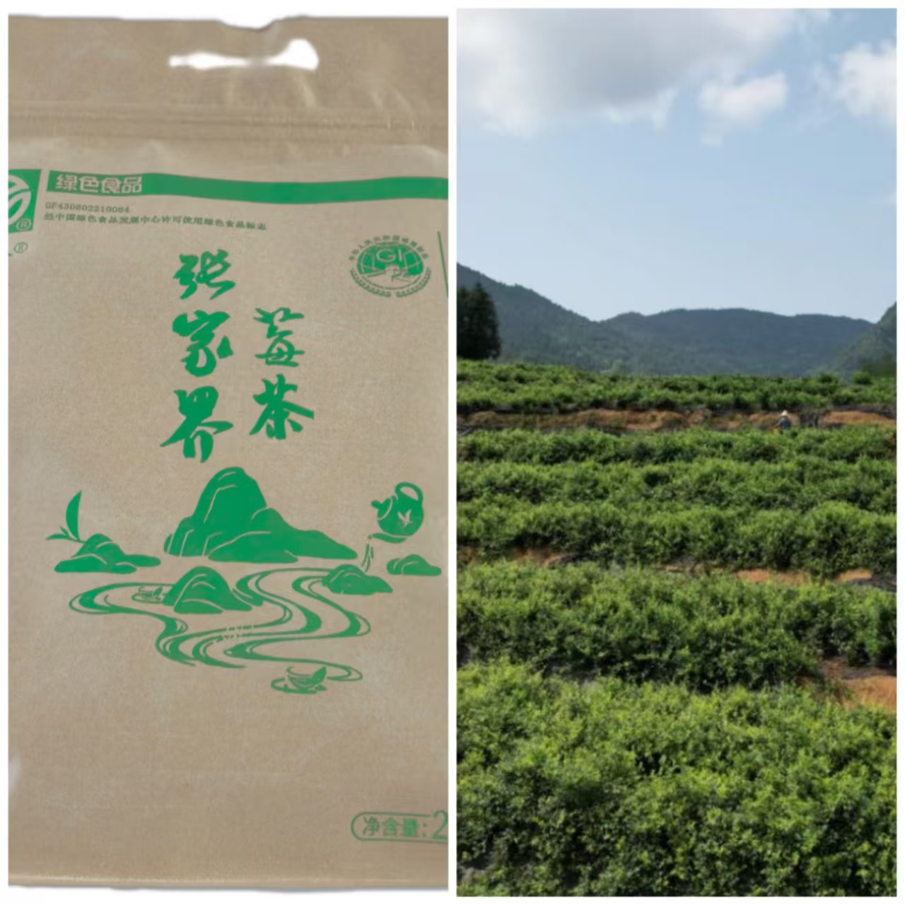 【一村一品失马村】高山莓茶袋装罐装