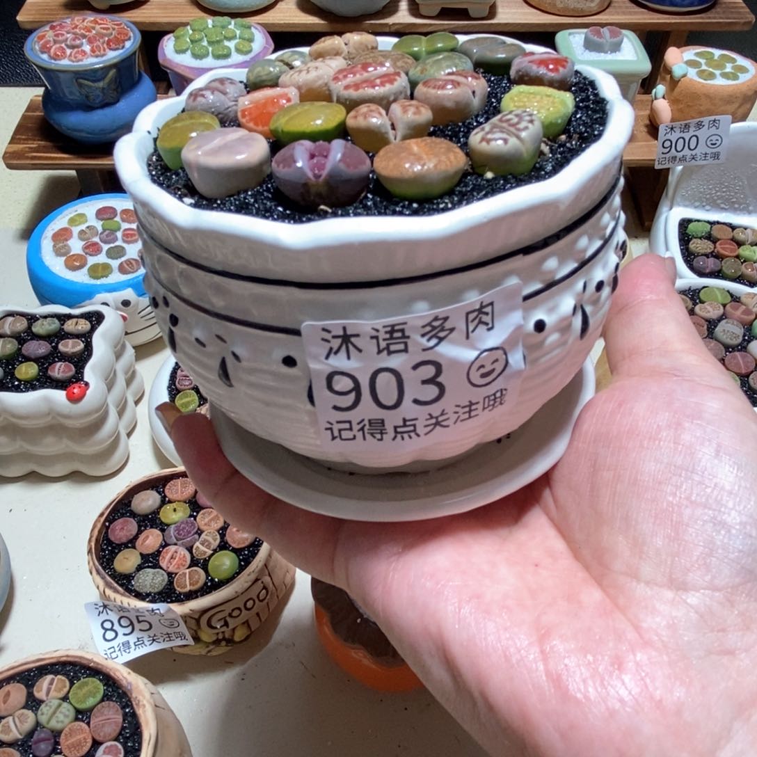 所见即所得 一物一拍