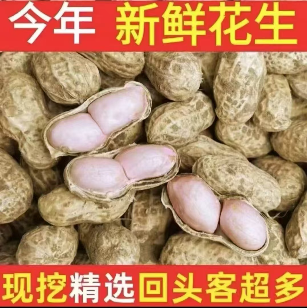 新鲜粉皮带壳湿花生现挖现发可水煮生吃农家自种