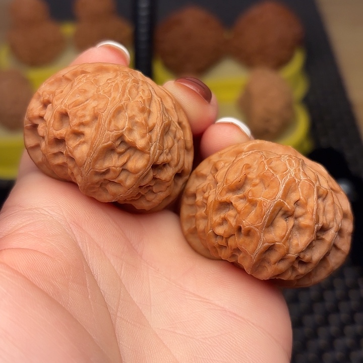 吊坠文玩核桃43红皮宫灯狮子头