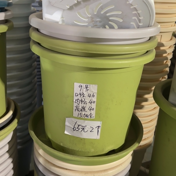 微瑕9#口径46无托果绿3个