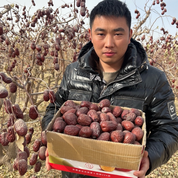 【新疆直发】2025年新疆和田玉枣大枣纯天然自然吊干大枣玉枣