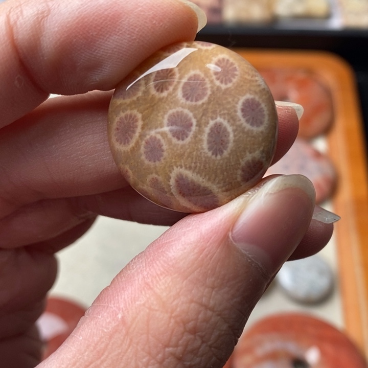 硅化玉颈饰未镶嵌若*