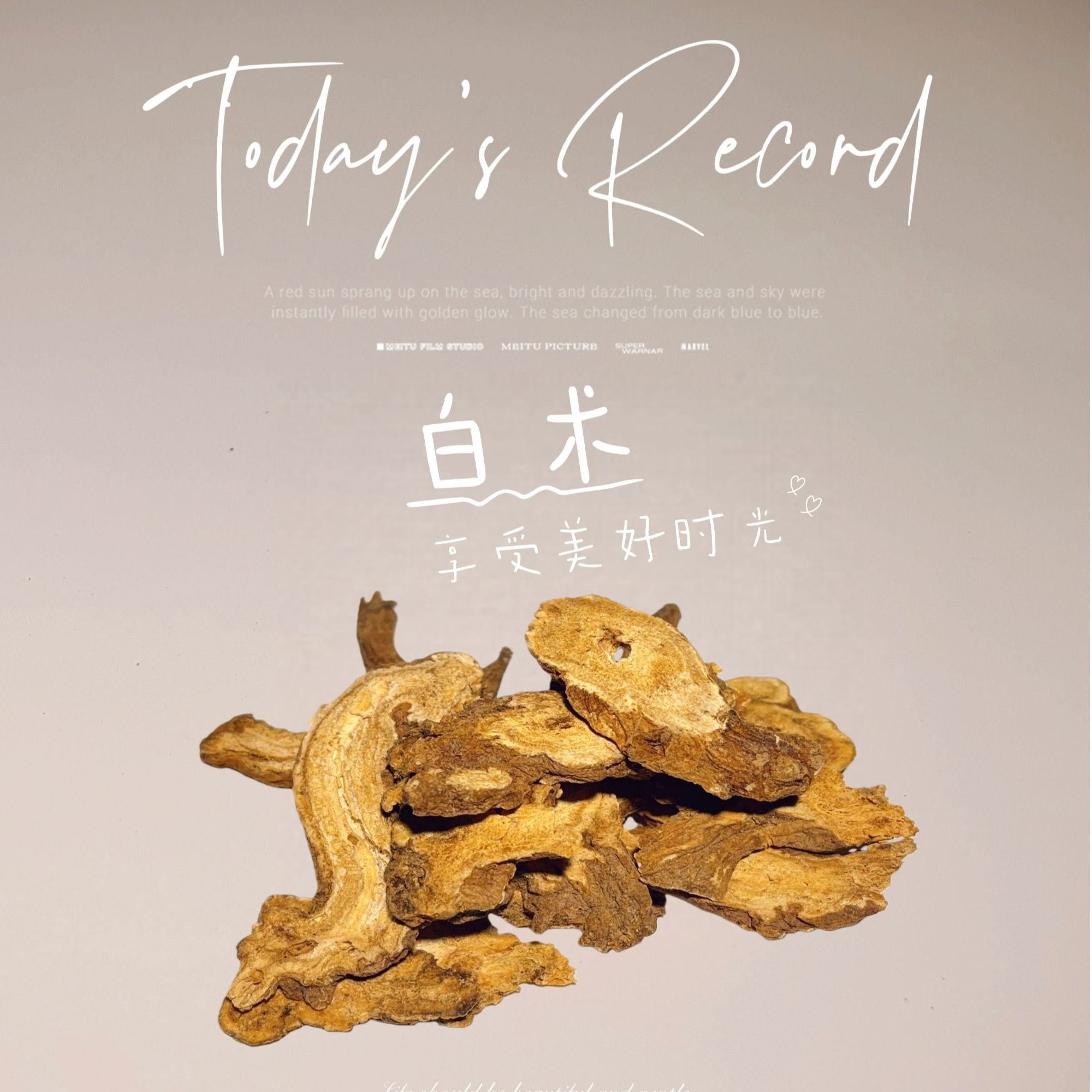 甄选新货白术无熏硫生白术大片白术道地产区蜂窝孔老白术