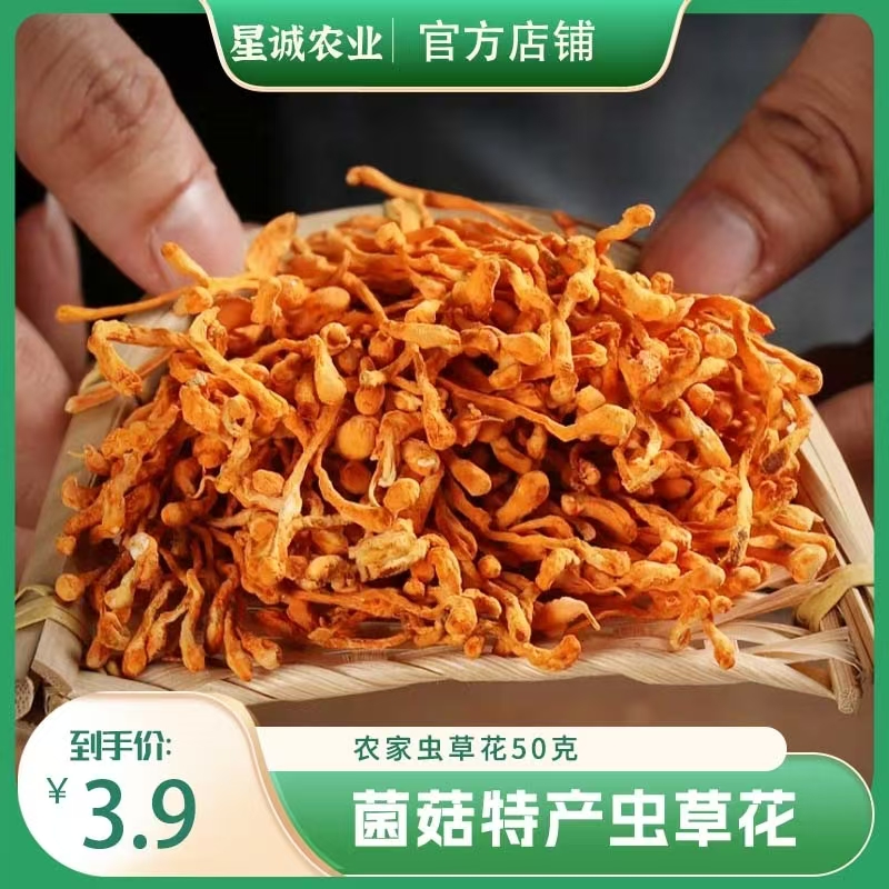 【友哥精选】新鲜武陵山区深山虫草花