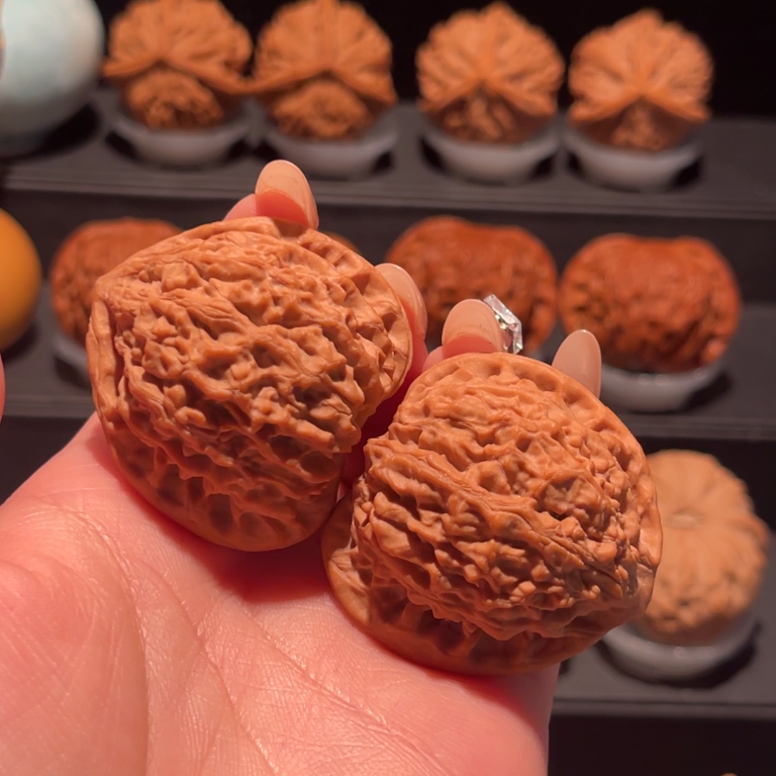 金牛41，精品，毕业