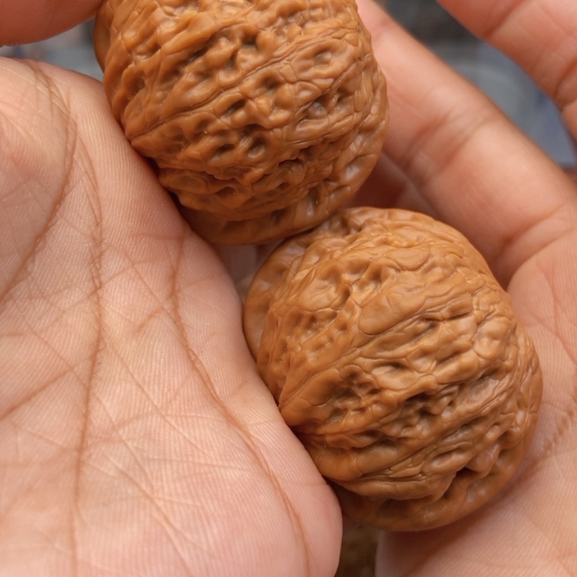 【闪购商品】文玩核桃把件42铁锤全品