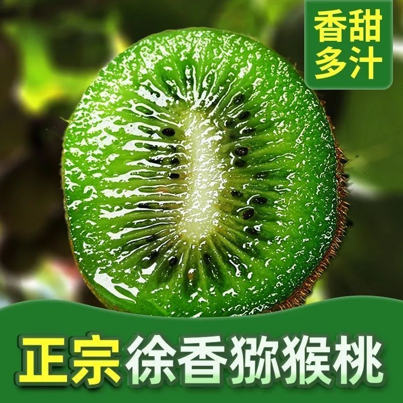 【24枚徐香猕猴桃】正宗徐香奇异果猕猴桃酸甜可口果园直发