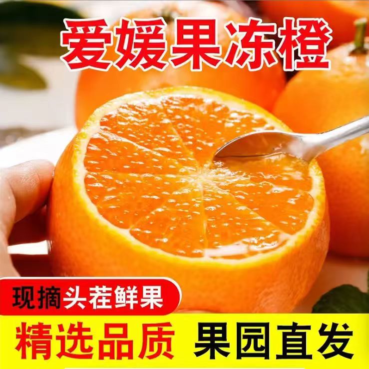 5斤果冻橙爱媛/38号/多汁现摘健康橙子皮薄新鲜水果带箱5斤