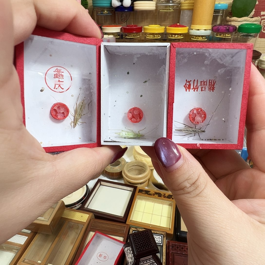 哈哈哈柬埔寨➕紫竹➕青竹