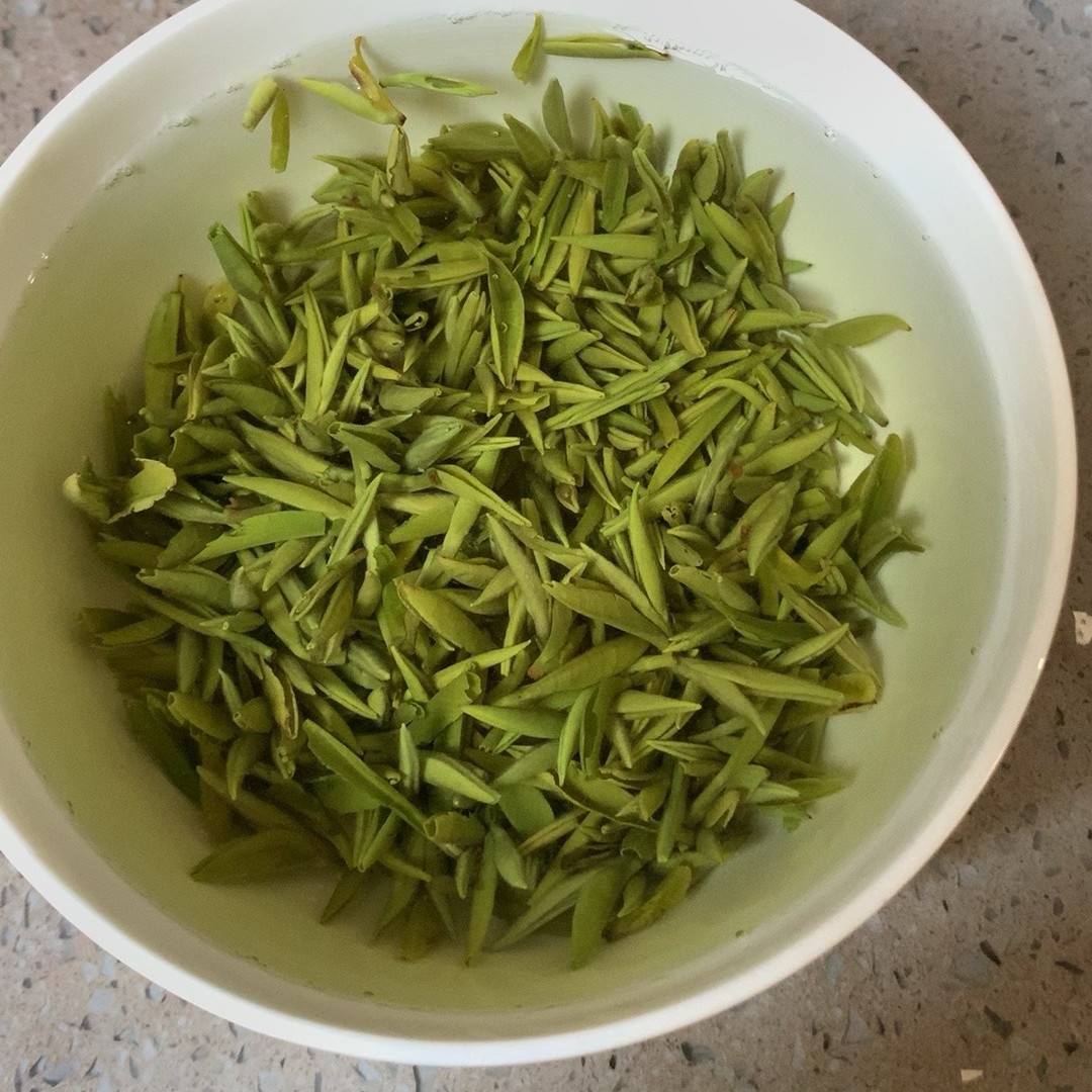 毛尖纯牙头摘头采茶2025新茶明前特级高山嫩芽春茶云雾绿茶浓香型