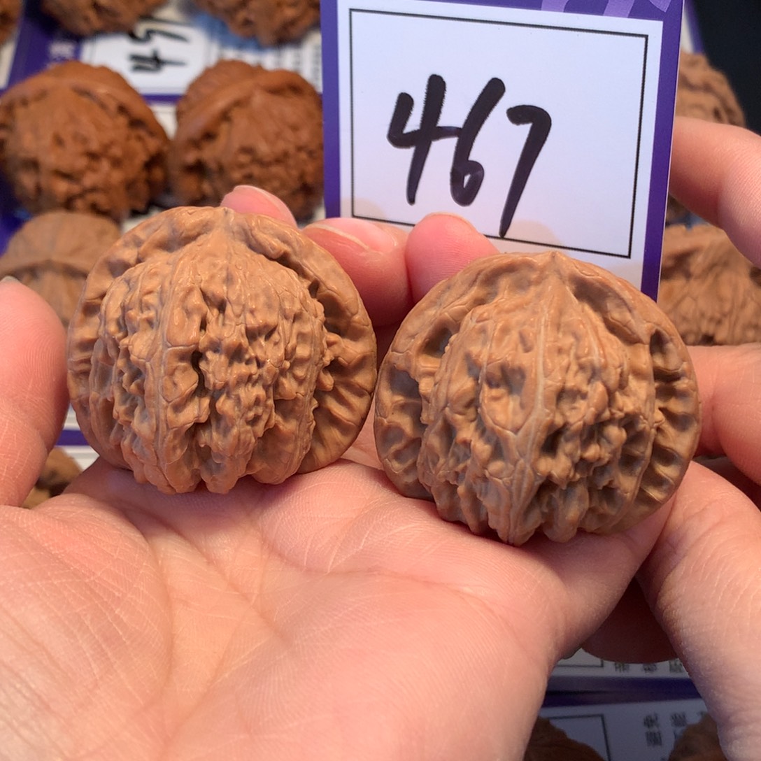 核桃467白狮子4.2全品