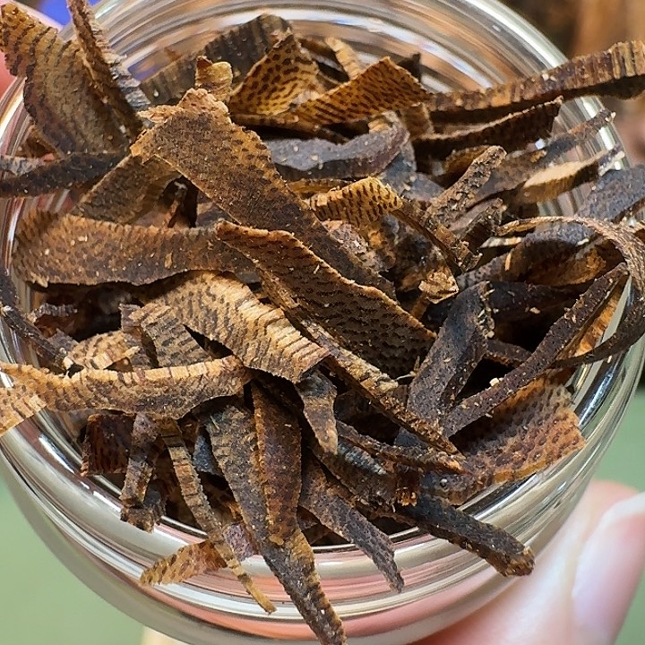 用***6沉香碎屑沉香海南高端紫棋树心油切丝沉水老料20克