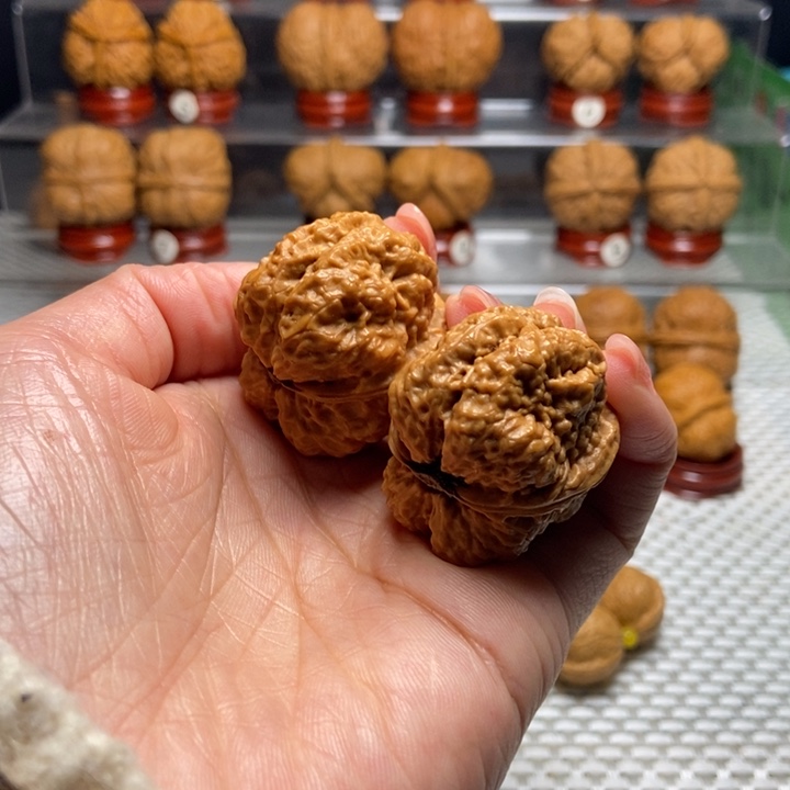 把件文玩核桃31小帝王蟾