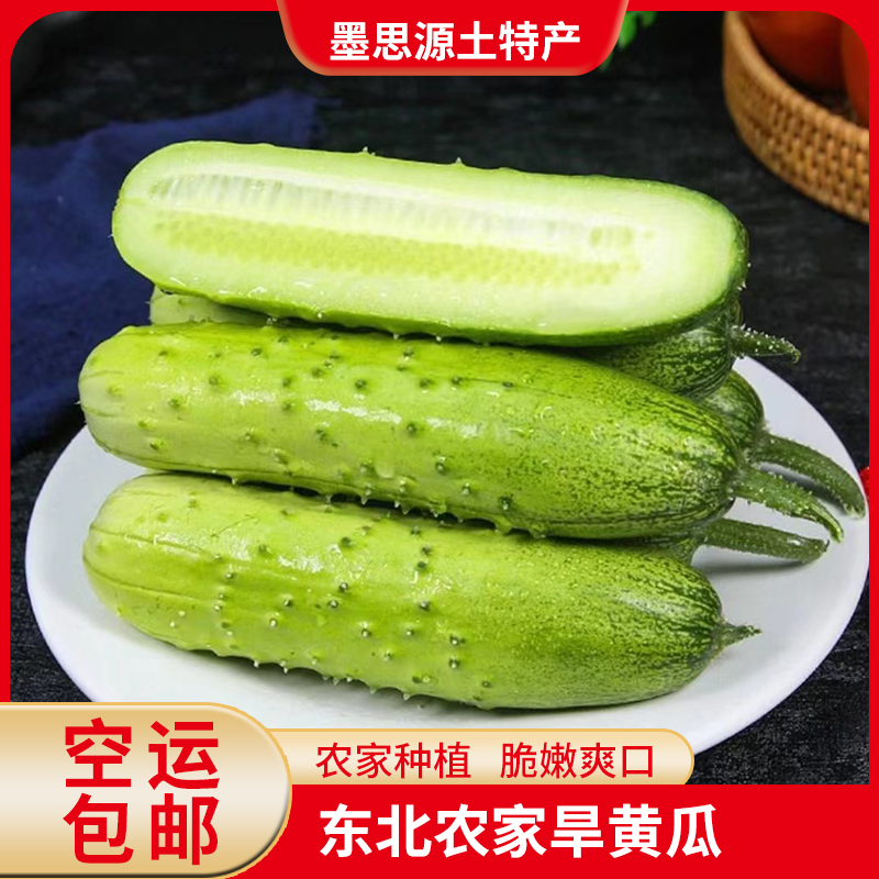 东北旱黄瓜鲜嫩脆爽新鲜现摘蘸酱菜美味2/3/5斤包邮【空运包邮】