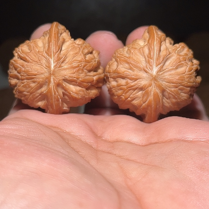 首***号木39磨盘。         