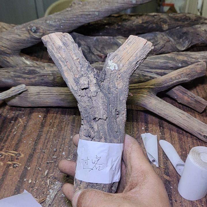 过***客火琉璃原杈不保沉水慎拍！