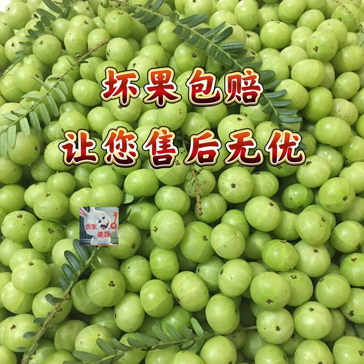 新鲜酸橄榄油甘果云南滇橄榄酸甜可口高山云孕妇水果送糊辣椒面
