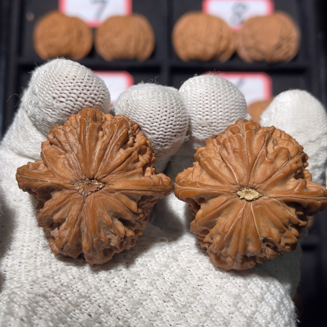 任***吊坠文玩核桃05秦皇岛山地果全品