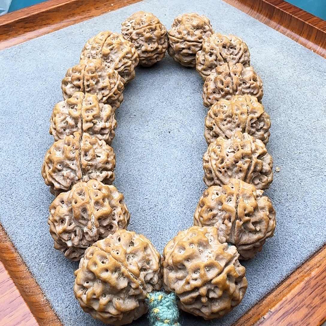 金刚菩提手串浮**歇铁籽蜂王