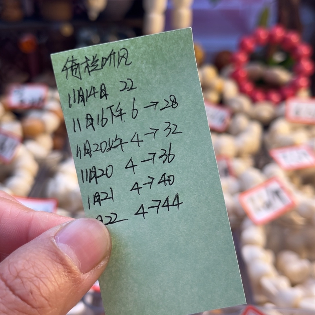 倚***风菩提根/象牙果手串依栏听风预存4