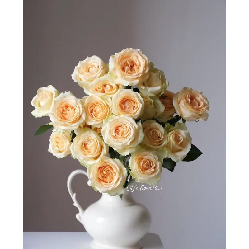 1【香槟】 单头玫瑰   真花 鲜切花  一单中通，两单顺丰发货