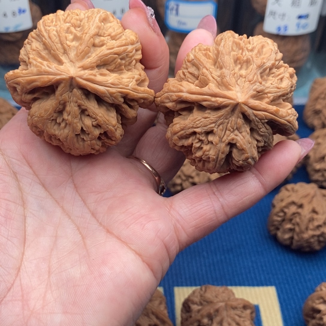 ³***把件文玩核桃粗筋50