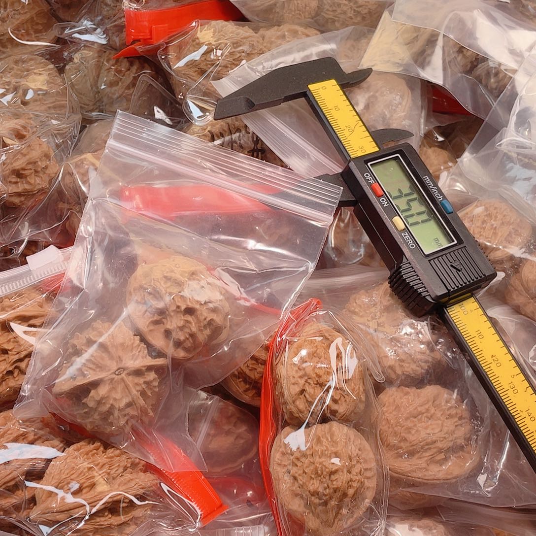 X***来核桃手串/手链哈哈哈哈哈哈哈哈