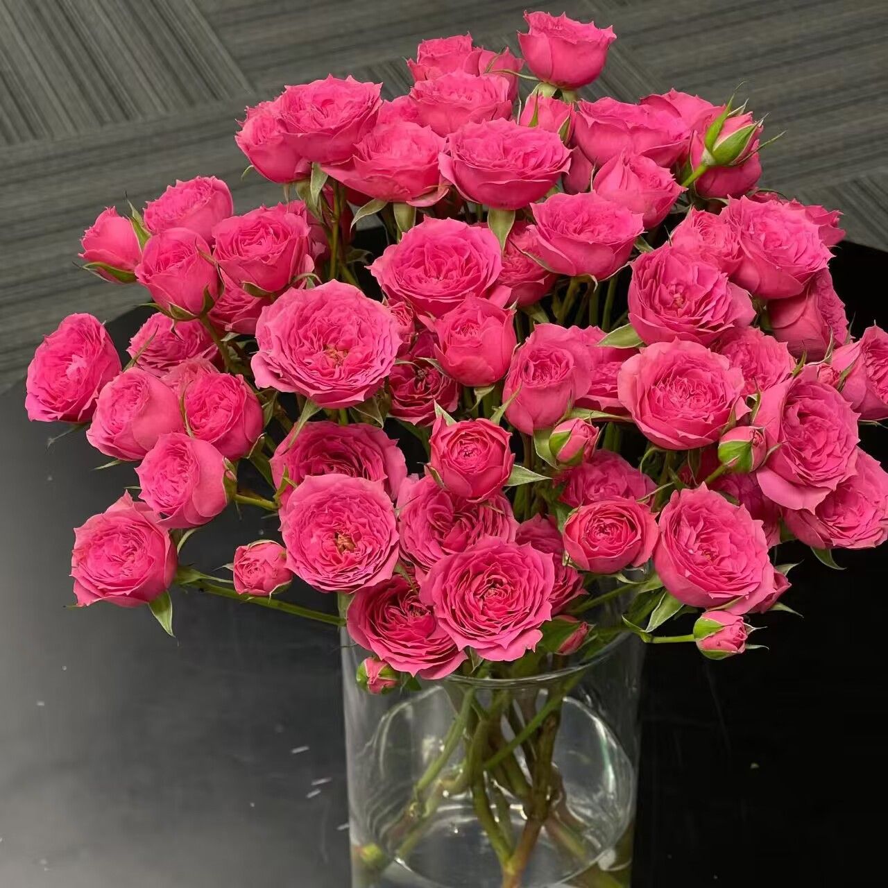 【10枝 苏菲宝贝 多头玫瑰 】任意拍两单升级冷链或空运