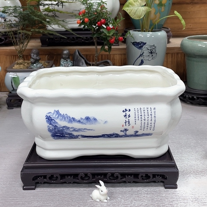 陶瓷花盆抢购福利活动