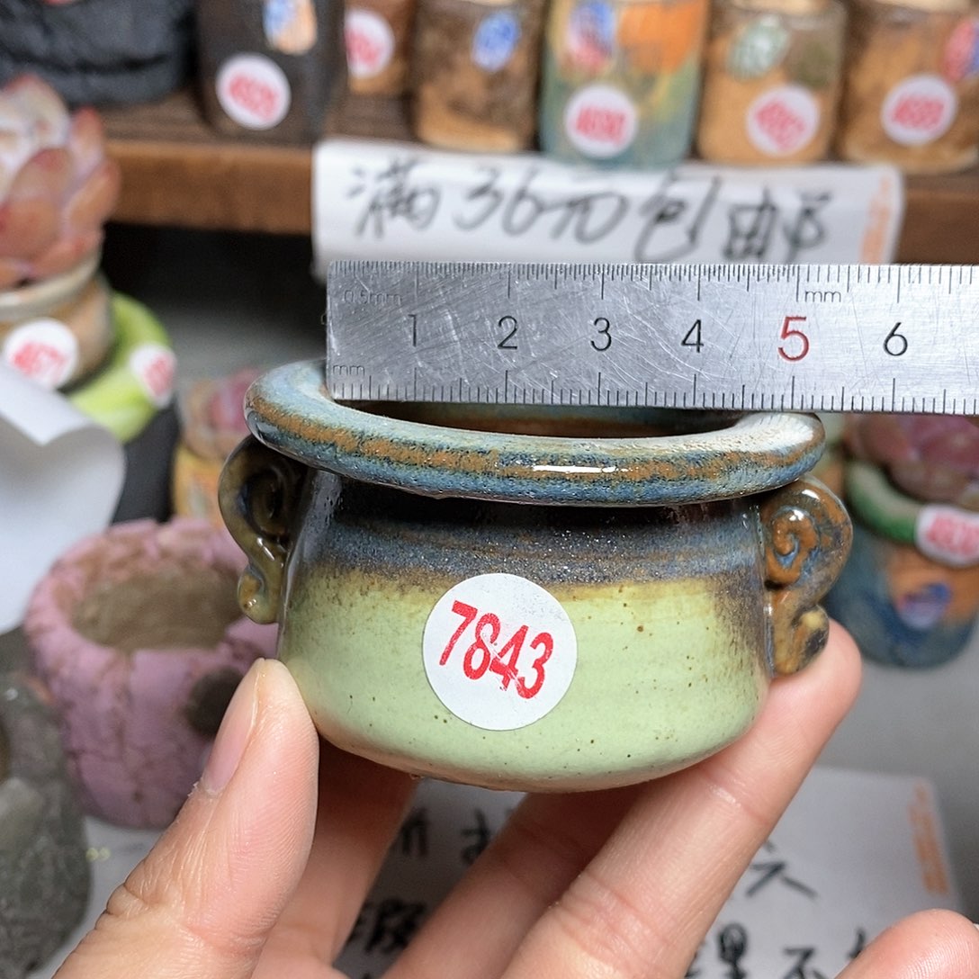 红陶拍5送一个小