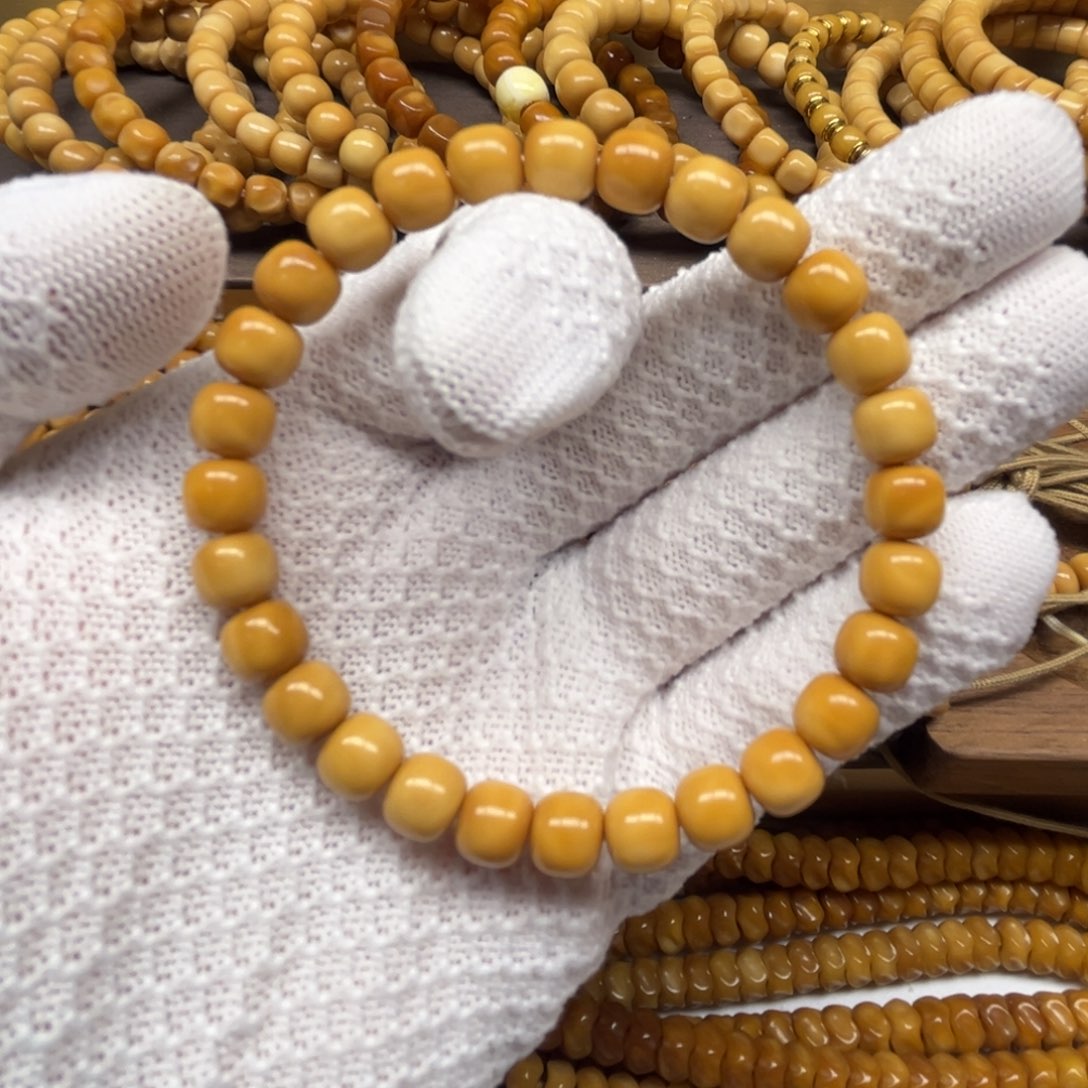 吊坠菩提根/象牙果龙脊菩提精工精口老料8mm