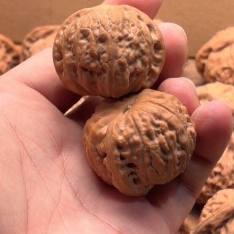 文玩核桃吊坠38边肚同尺乾隆磨