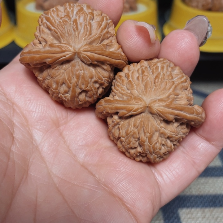 文玩核桃把件A****袁白狮子40