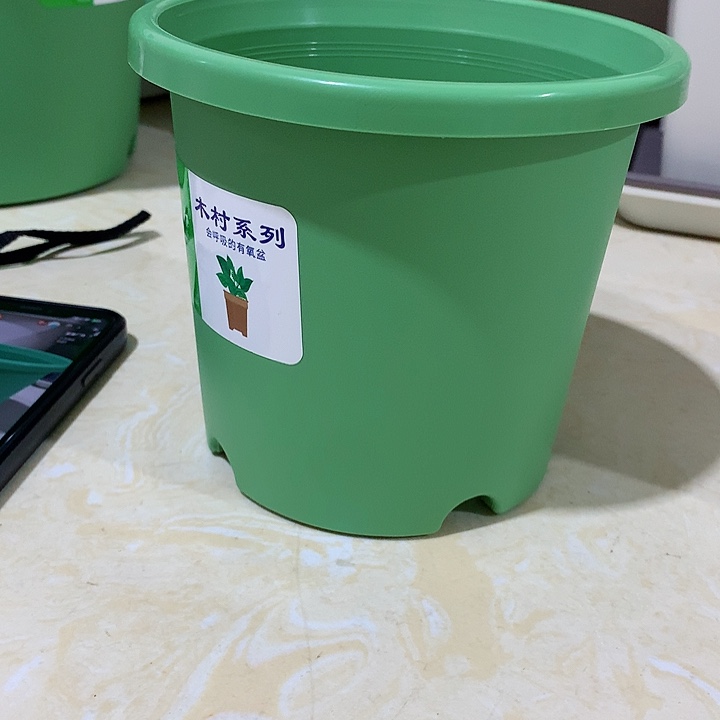 四季口15绿10个无托