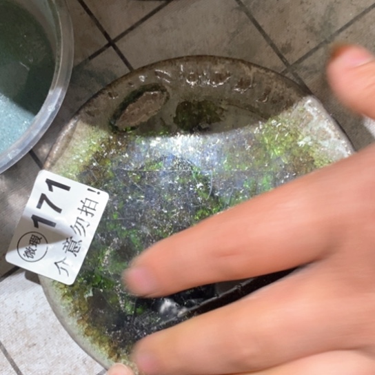 瑕疵瑕疵都是我的