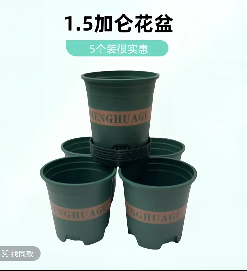 5个装 控根1.5加仑高款家用花盆 （外口径19.5 高19厘米左右）