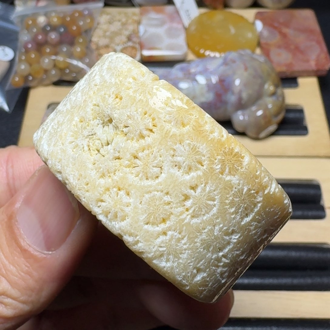 硅化珊瑚（珊瑚玉）纯天然色有机玉石手镯芯未镶嵌