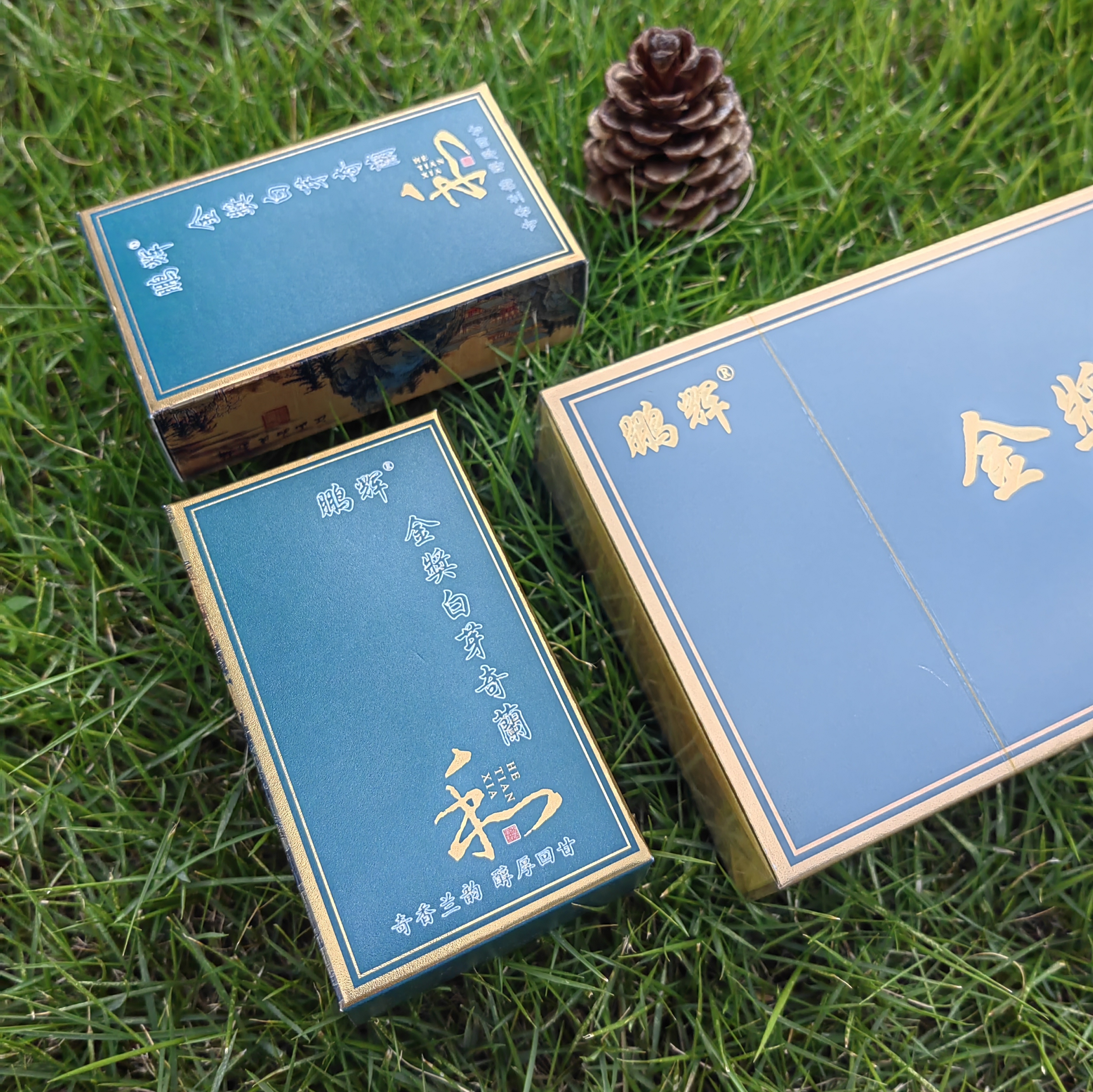 鹏辉茶庄|金奖白芽奇兰|精美包装|送礼佳品