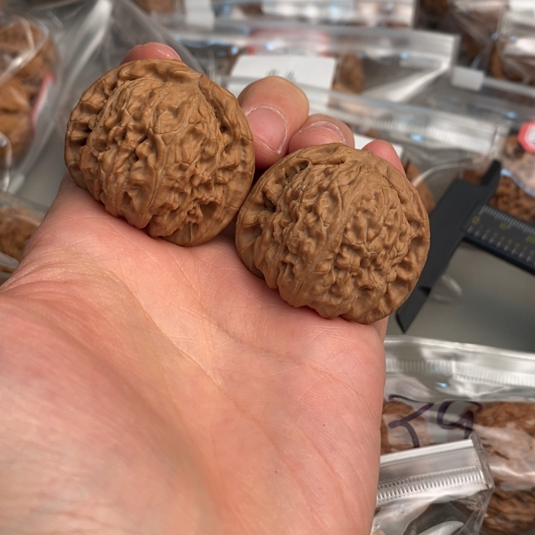 文玩核桃把件39白狮子