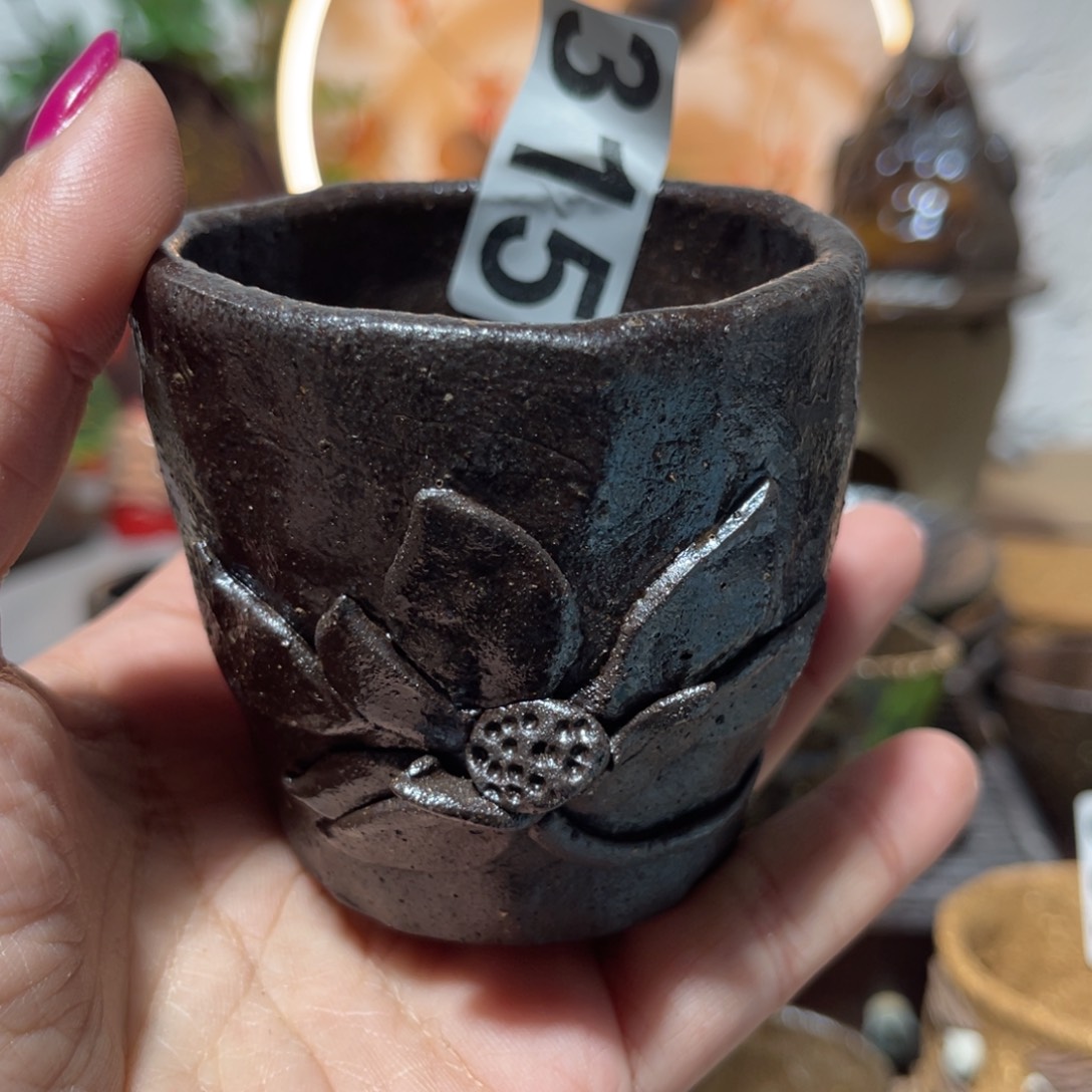 木村信弘柴烧保平