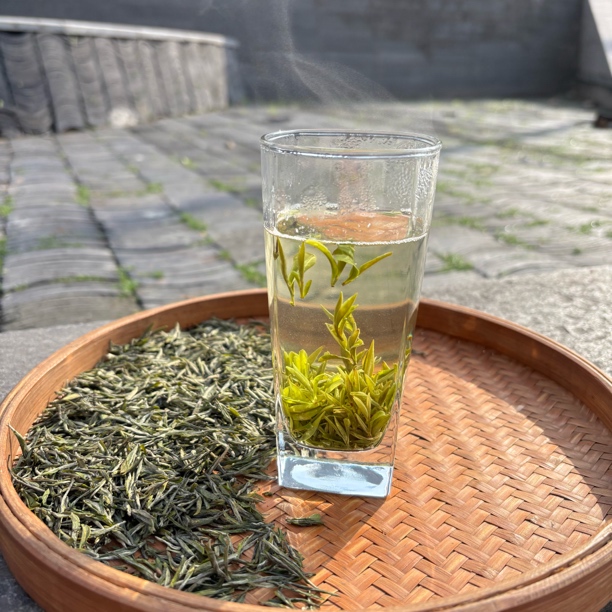 新茶永川秀芽2025明前高山头春手工嫩芽栗香高端绿茶