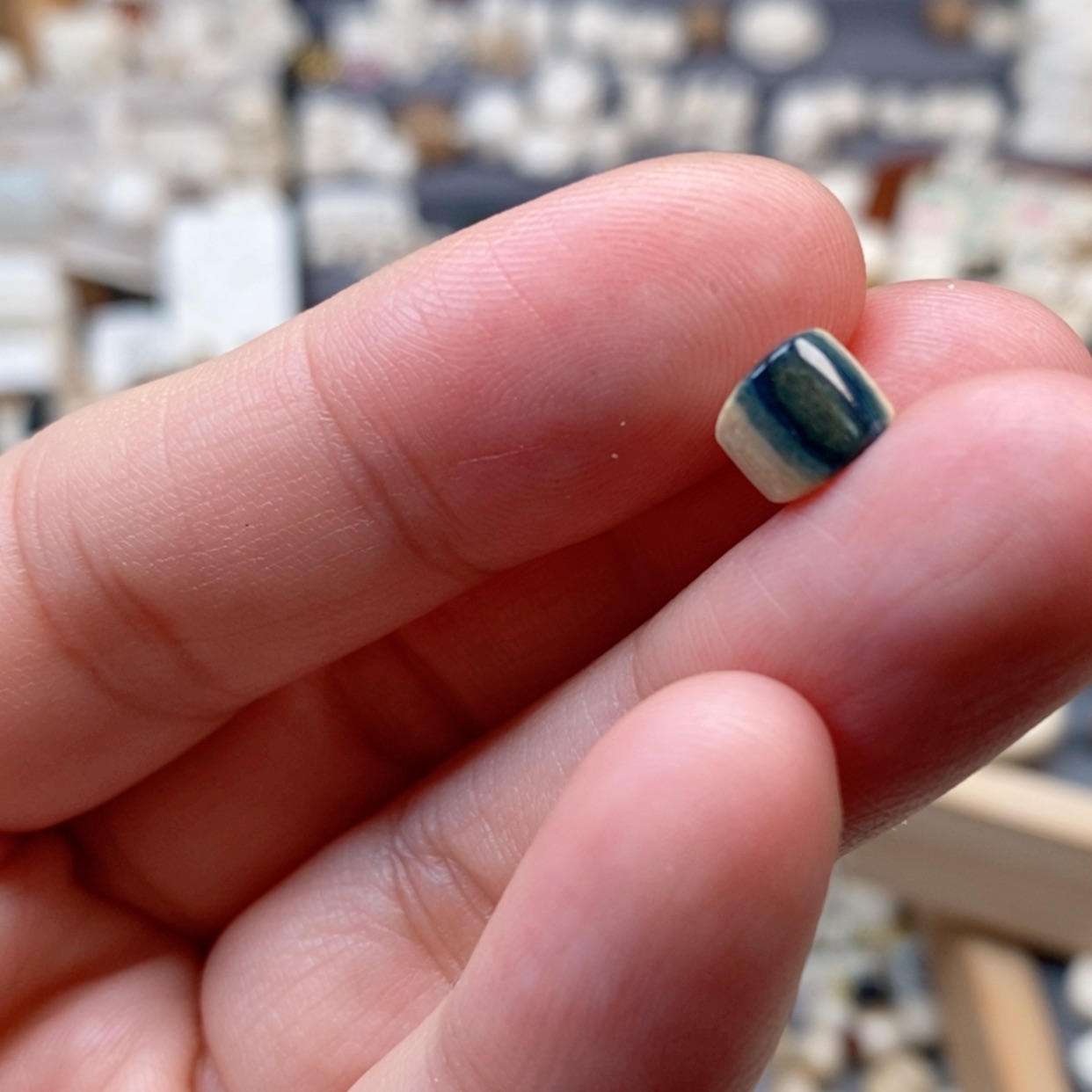 【闪购商品】无非金属螃*?猛犸牙