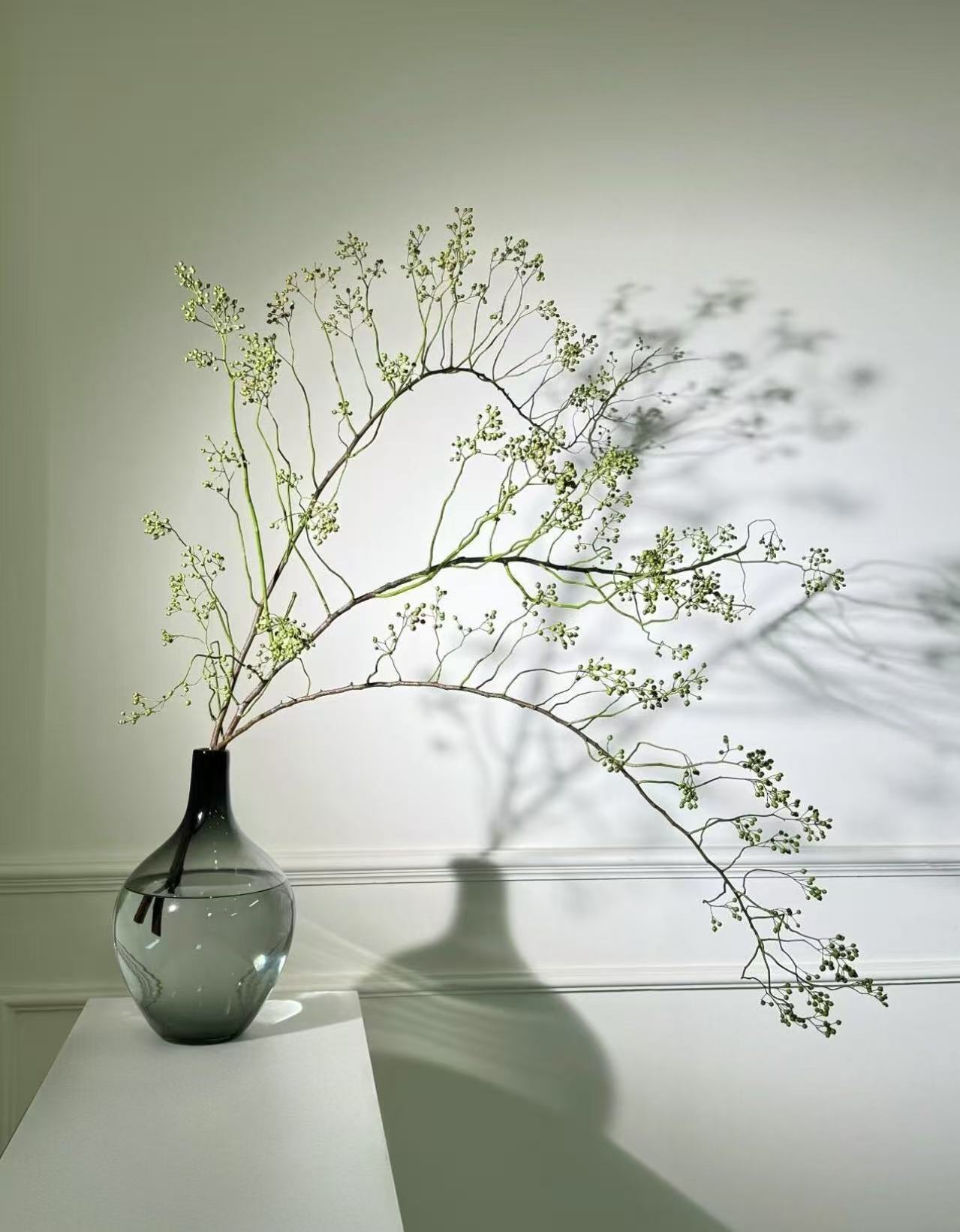 山归来 鲜切枝蔷薇果鲜花水培植物水养插花花卉植物