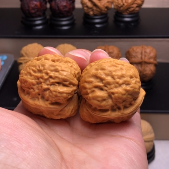 文玩核桃把件卧莲金蟾24