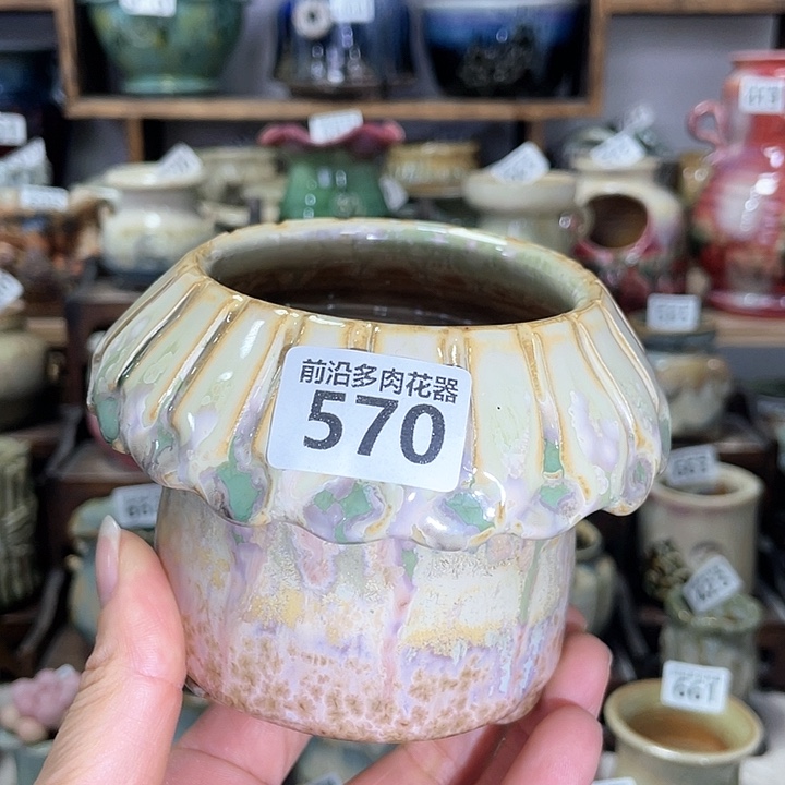 红陶内口径7高度9