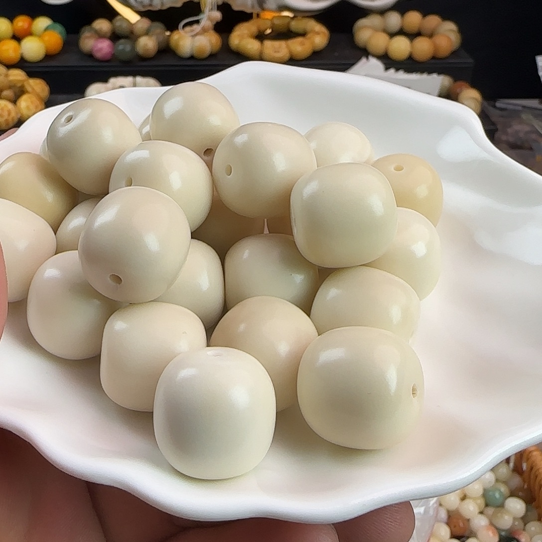 吊坠菩提根/象牙果微瑕疵象牙果桶6颗