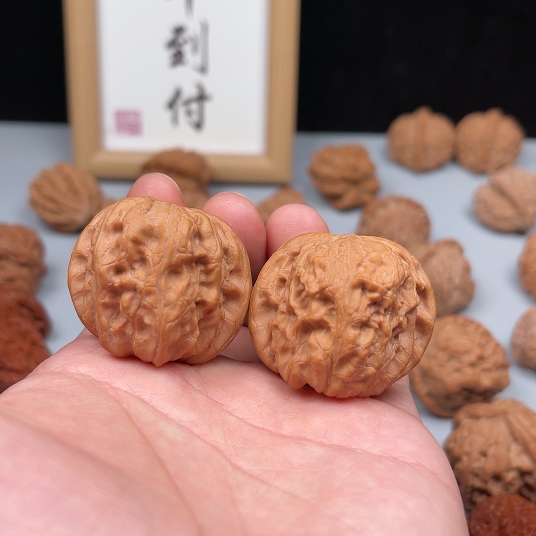 核桃野生花蝴蝶（尖有修