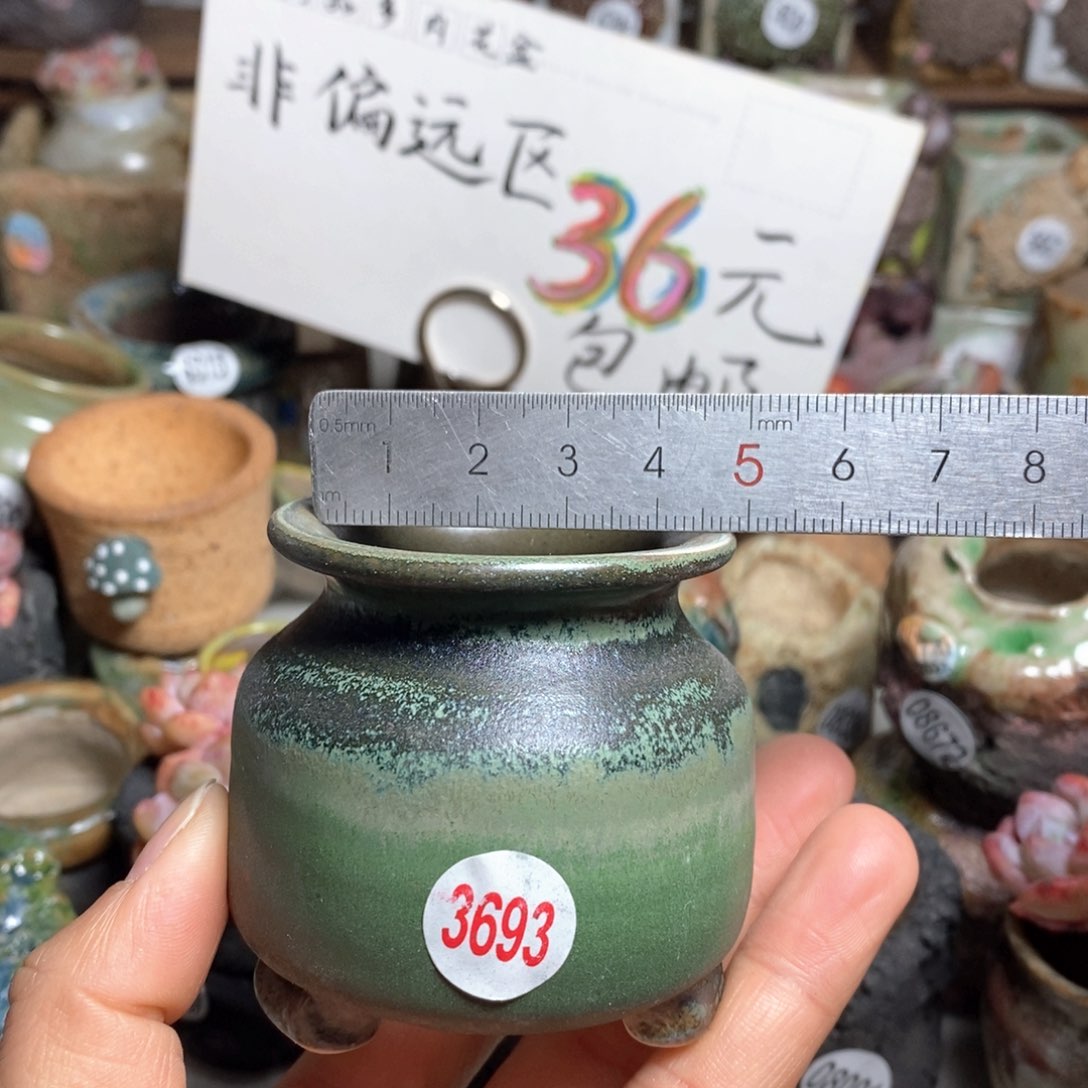 花盆拍5送一个小礼物